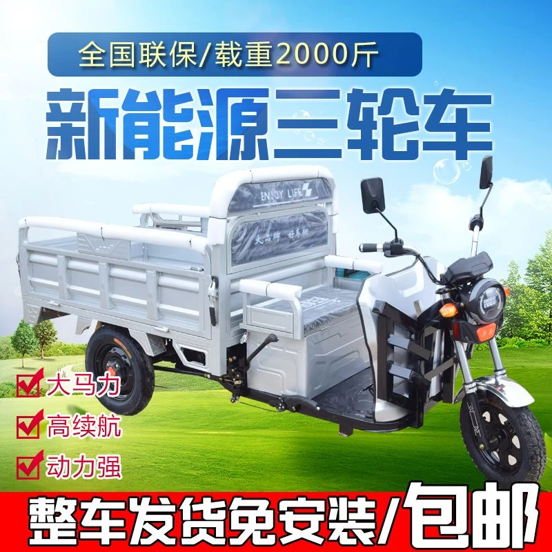 电动三轮车锂电池拉货快递载货农用三轮车摆摊电瓶车老人代步车