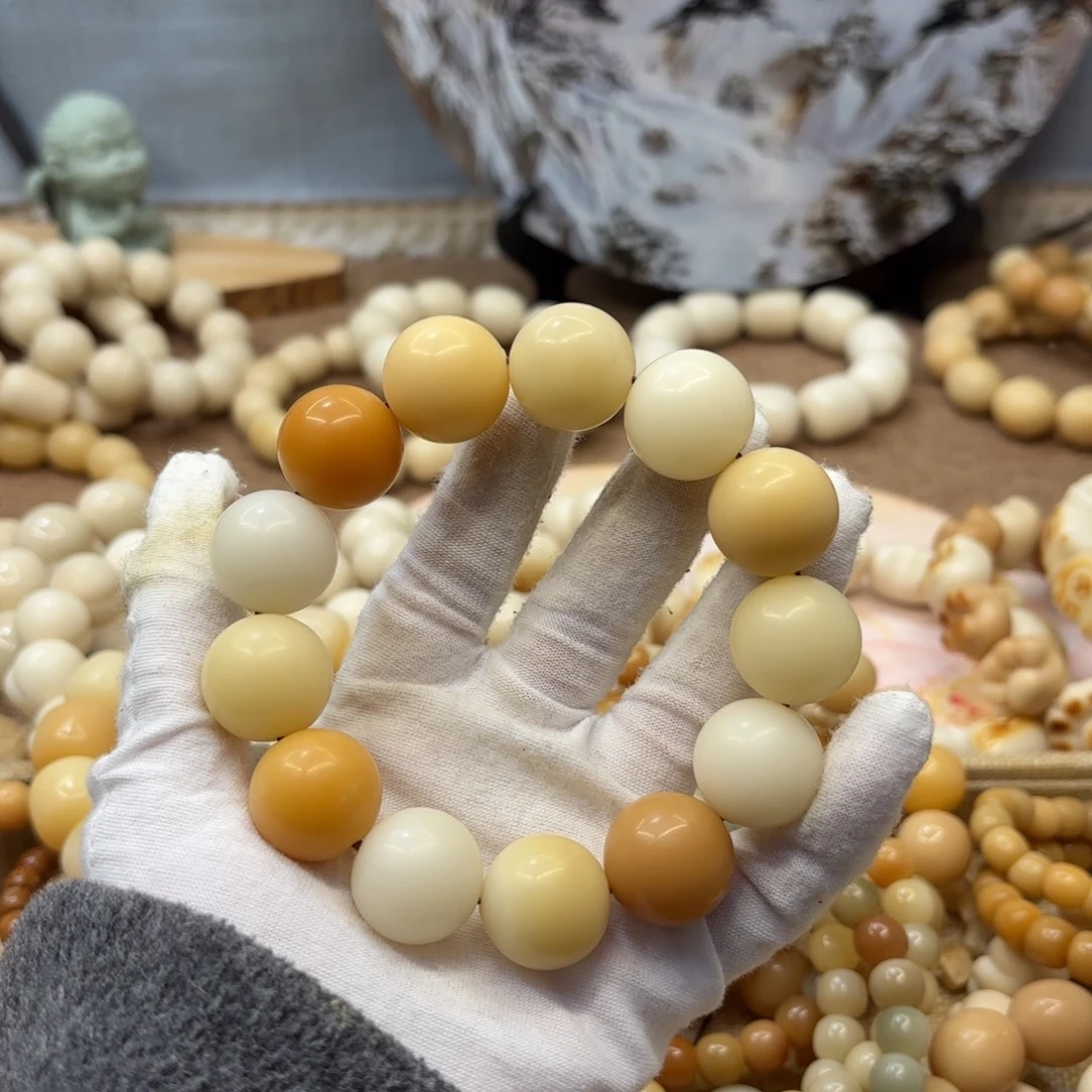 吊坠菩提根/象牙果20干磨瑕疵落地果602