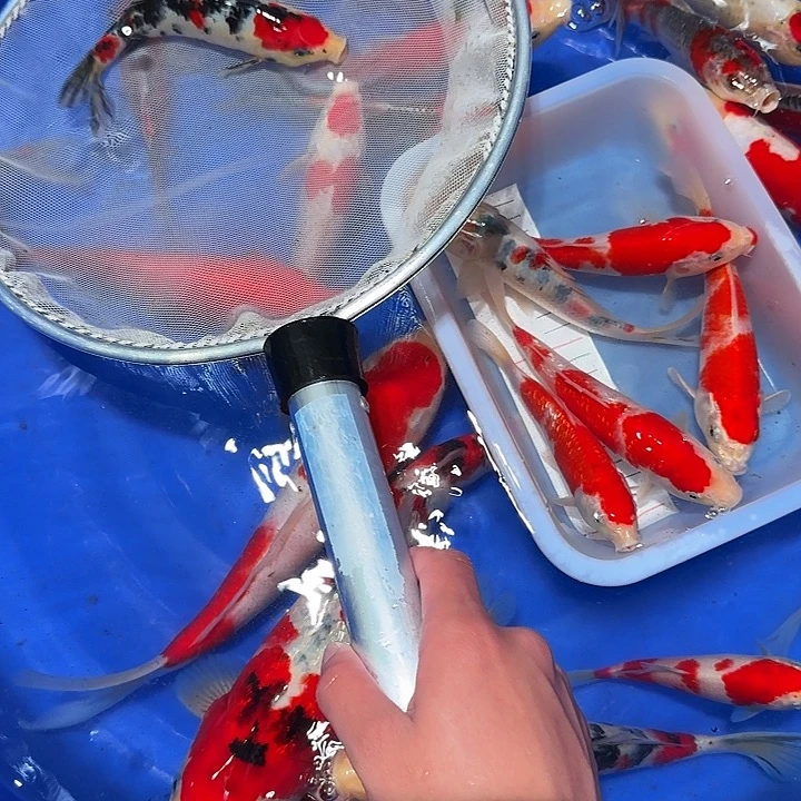 任***义海水分分合合发疯的地位