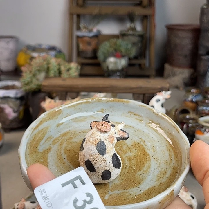 ****6牛摆件 块根压盆石 百搭 纯手工