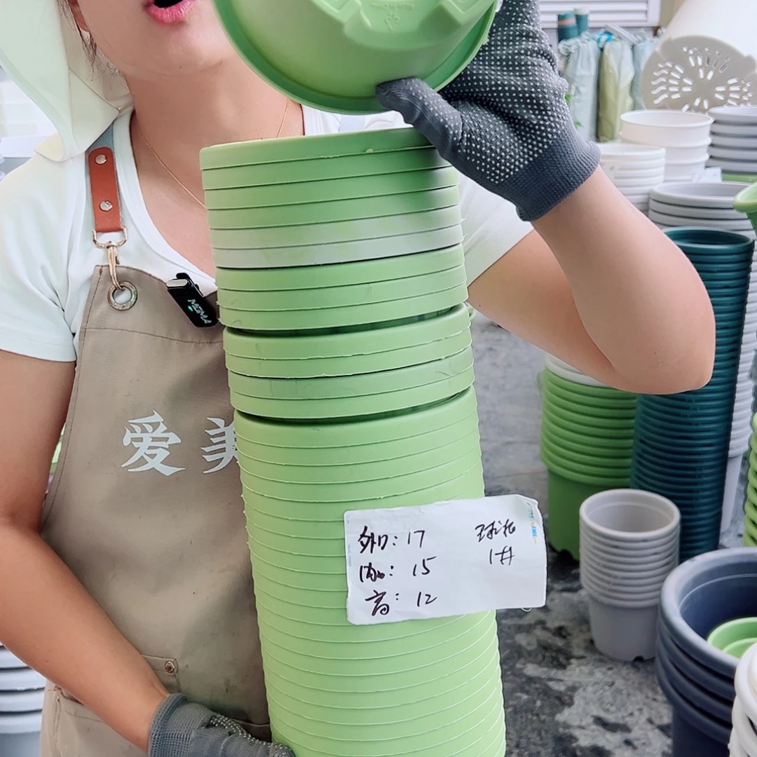 瑕疵球根盆1#果绿色10个无托