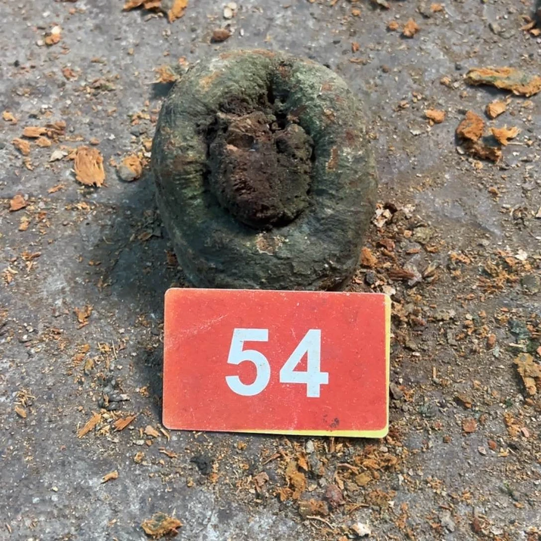 安***静荔枝木荔枝木毛料50