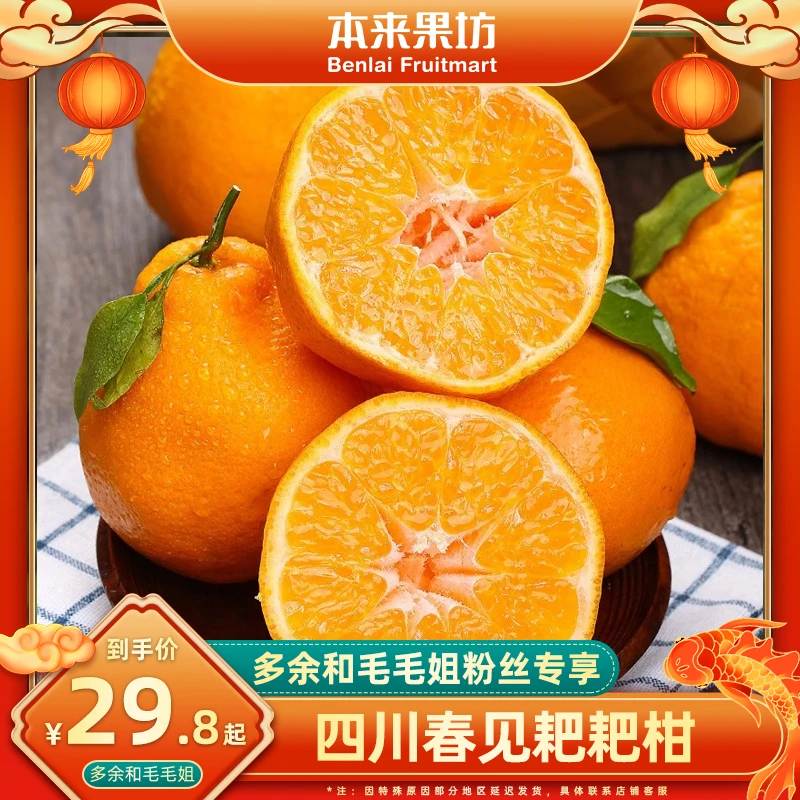 【毛毛姐专属】四川春见耙耙柑4.5斤 新鲜水果 现摘现发