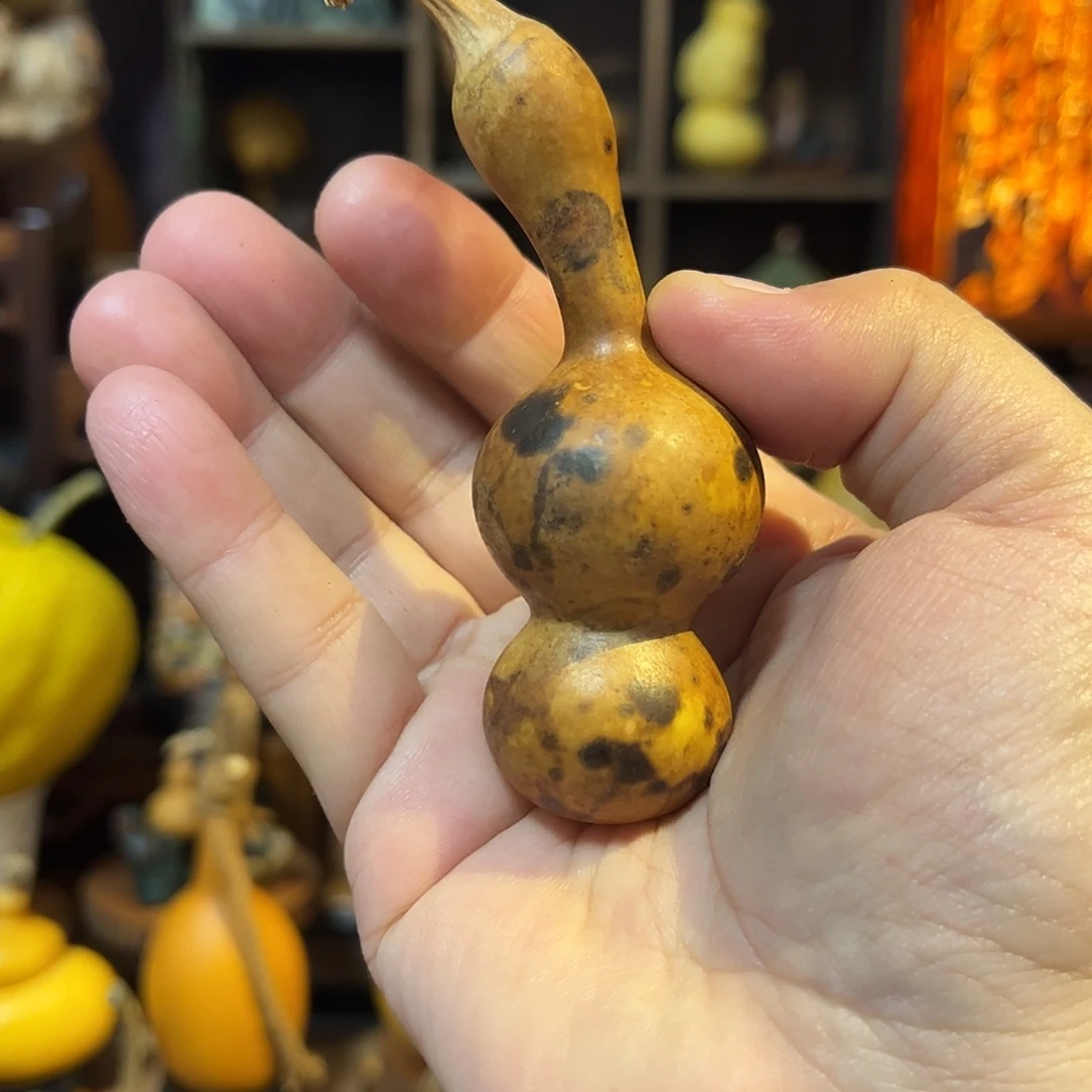 如***手大叶紫檀（黑酸枝木类）