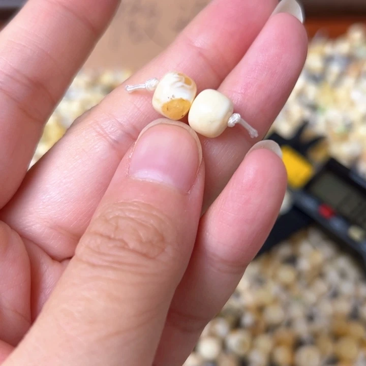 蜜蜡未镶嵌裸石8.5mm一对