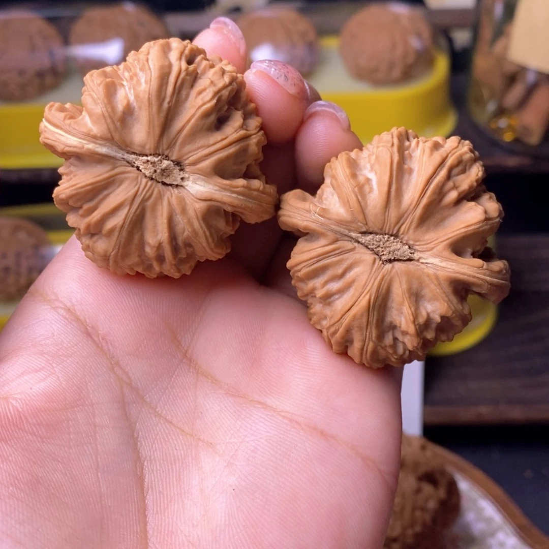 文玩核桃把件白狮子42