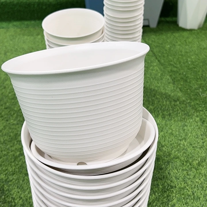 正品矮陶口21高15白色8只带托