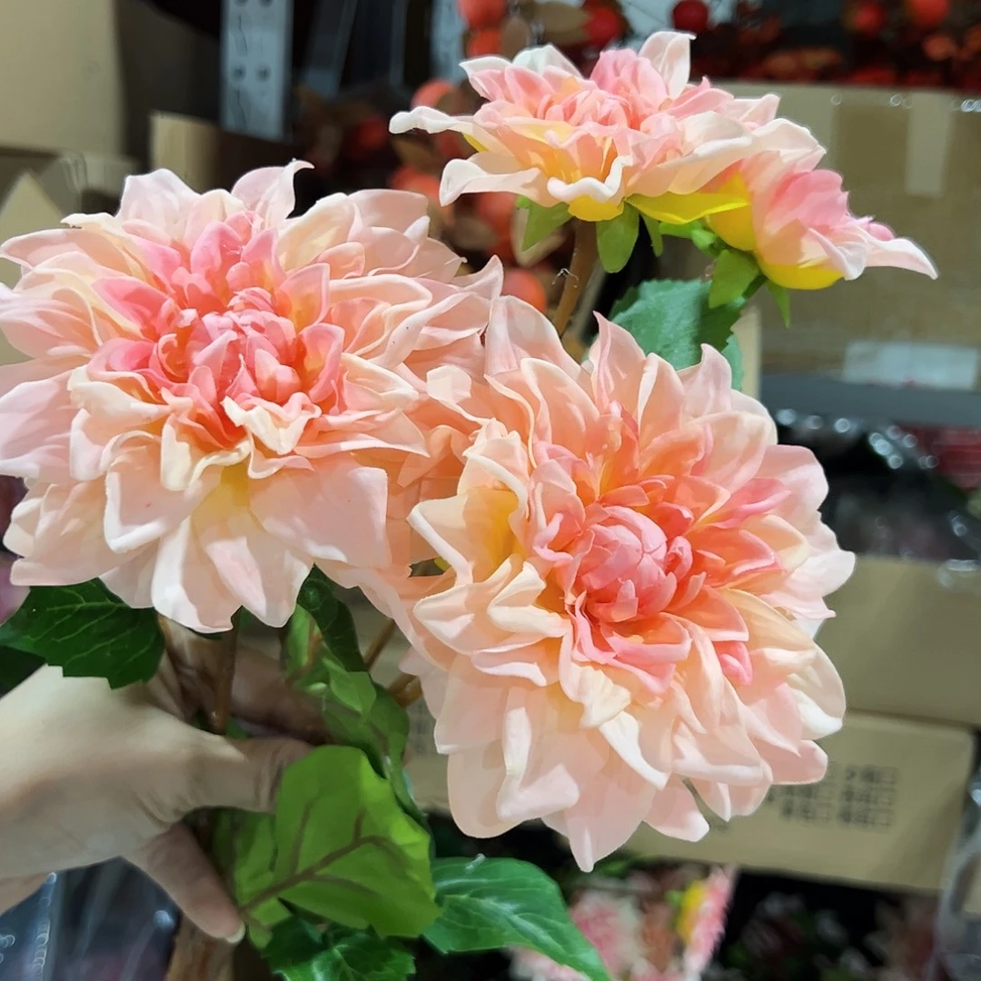 2枝橙色大丽花手感