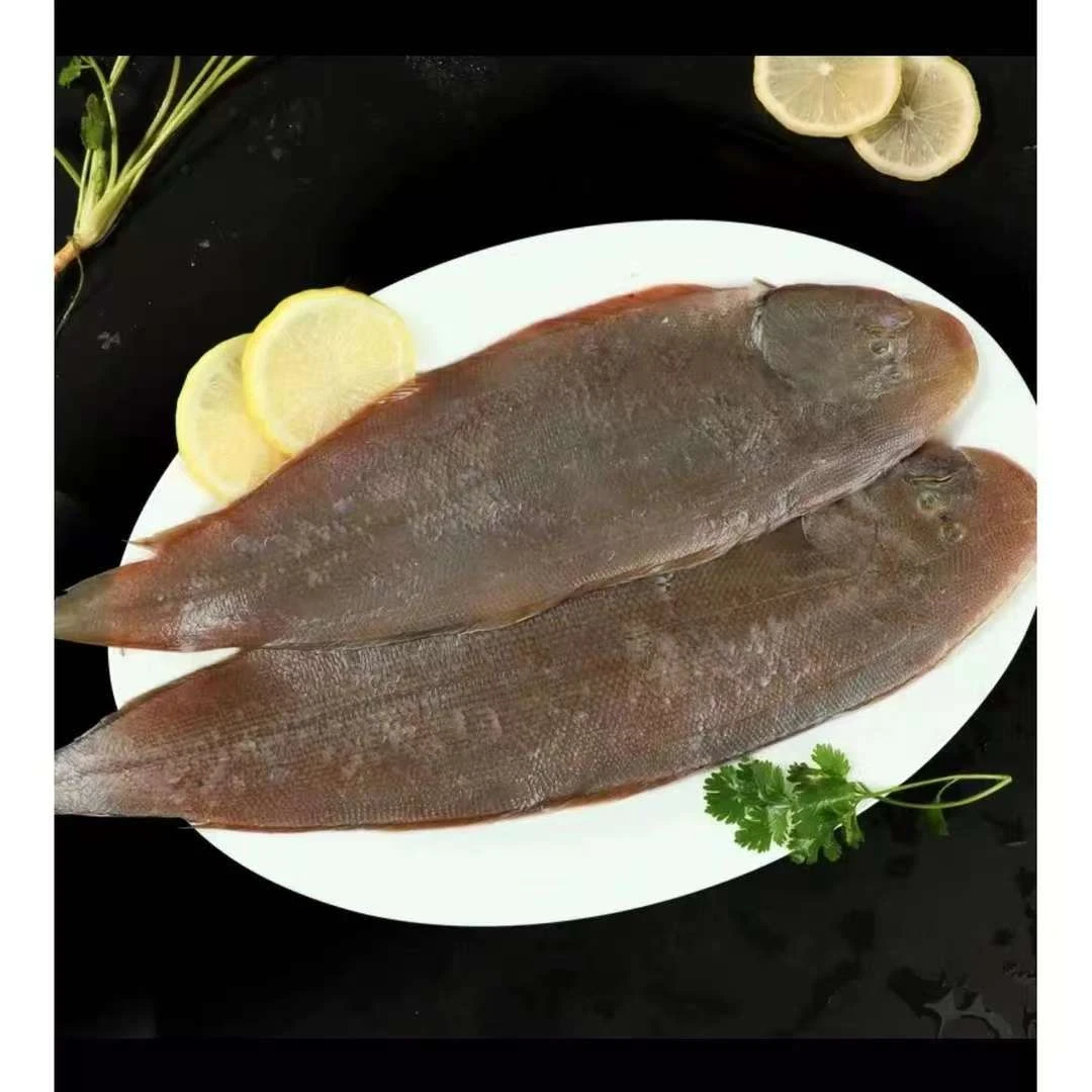 深海热气舌鳎鱼~板鱼~龙利鱼海鲜 到手3斤