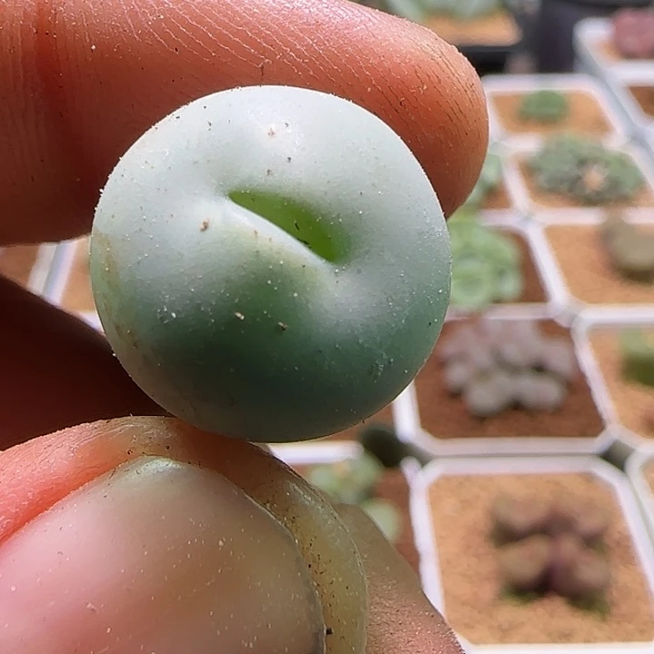 孙***英哈哈哈哈哈哈哈哈哈806