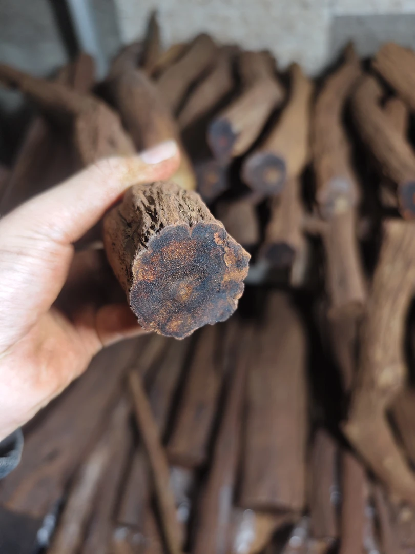 缅甸小叶降真香黄油定制款不退