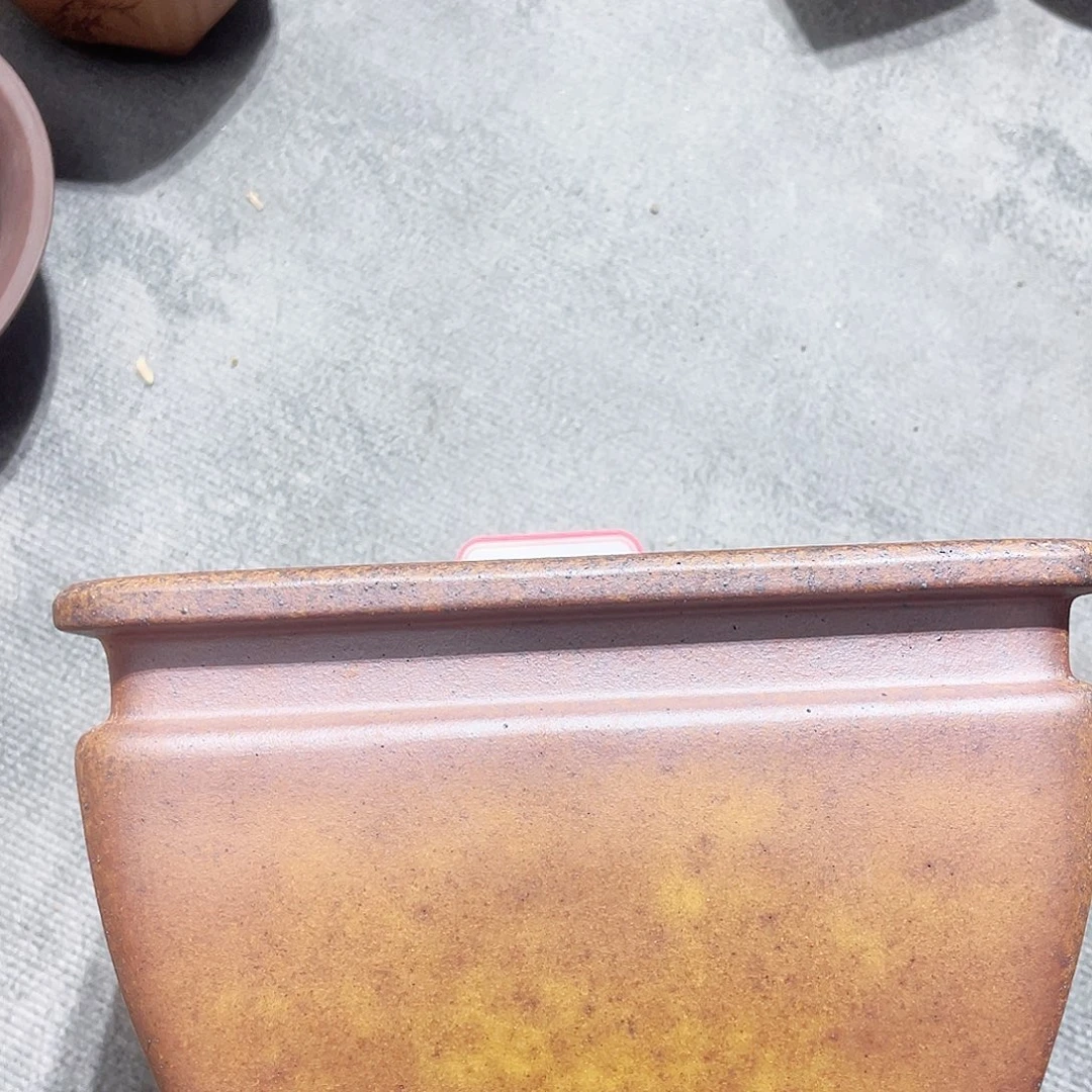 淡***条紫砂小盆15*9cmmmm