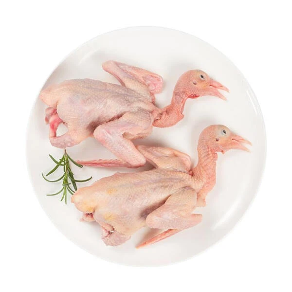 冷鲜乳鸽 550g