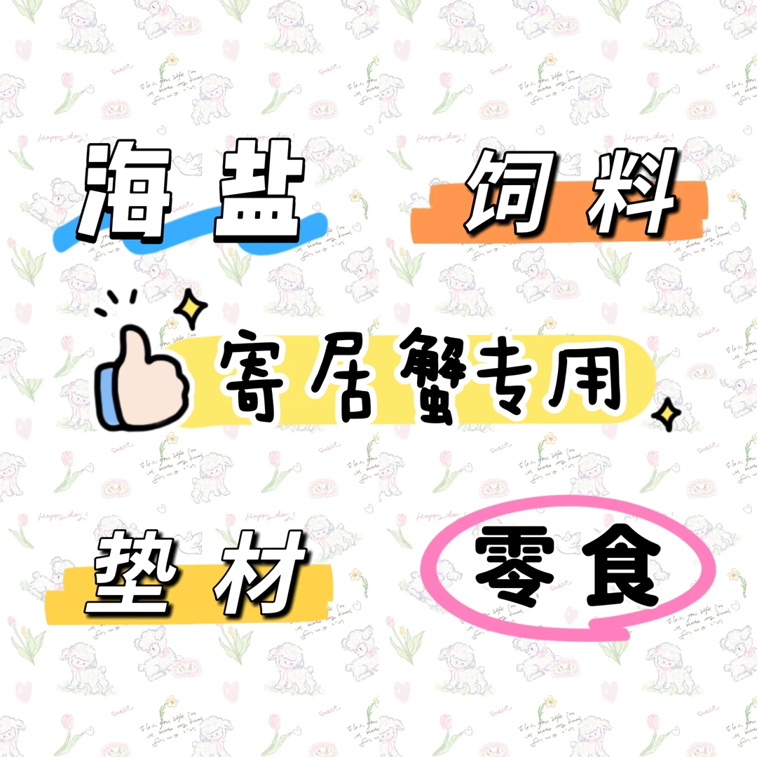 【养宠必备】寄居蟹专用免配比海盐 独立包装饲料 免泡椰土