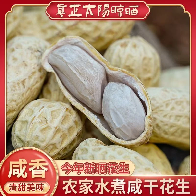 25年忠信农家水煮咸干花生上班晒干带壳坚果零食软糯鲜香有嚼劲