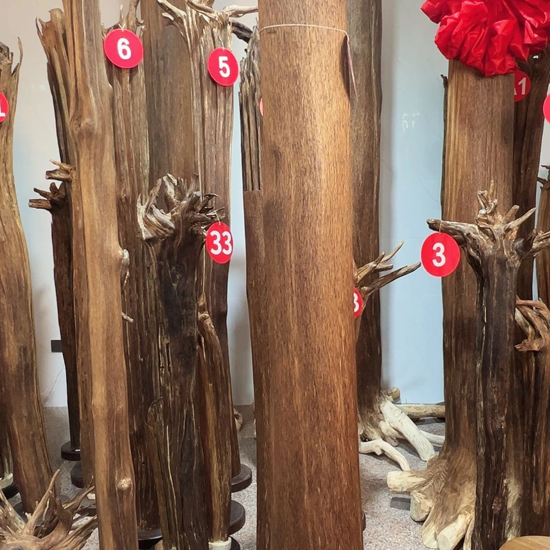 威***哥沉香摆件沉香原料