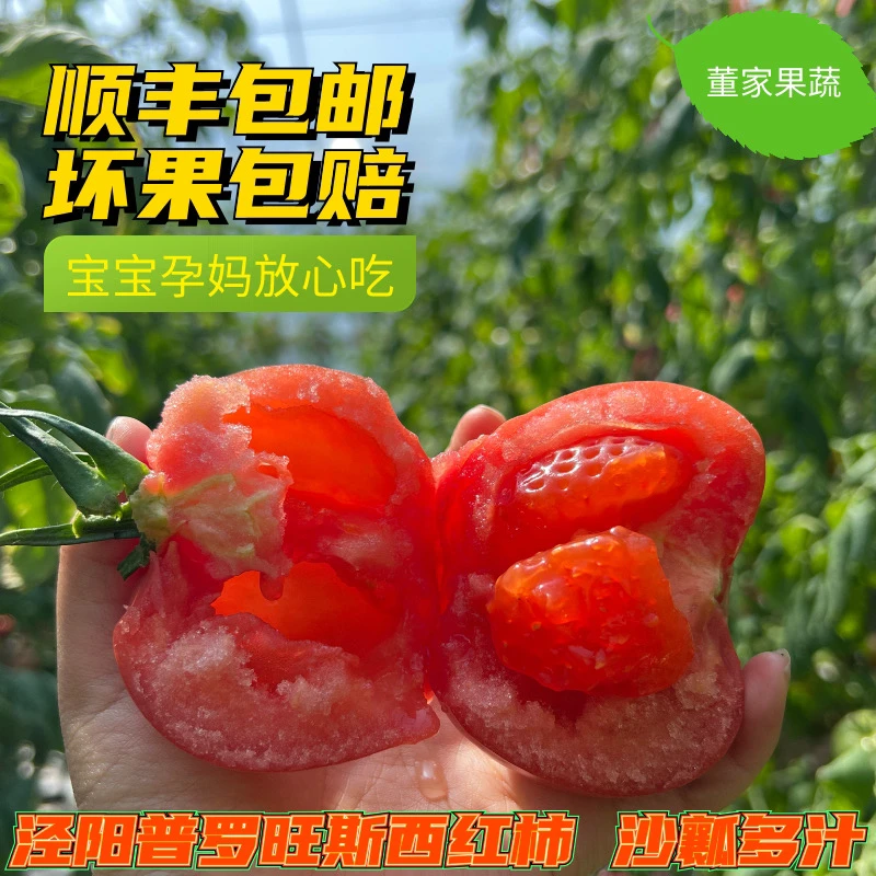 泾阳沙瓤酸甜多汁新鲜水果西红柿中大果4.5斤