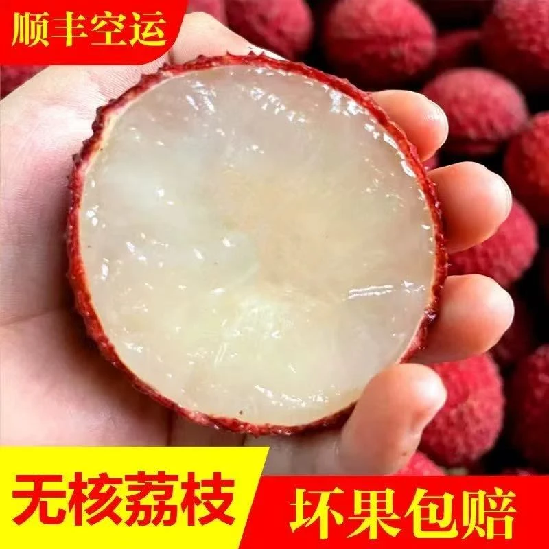 ZHIO海南无核荔枝精品并蒂鸳鸯红礼盒装中大果顺丰空运 2.5-4.5斤