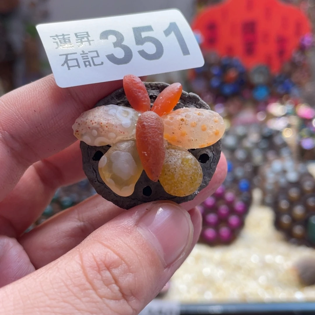 核桃木/黑胡桃（胡桃木）351