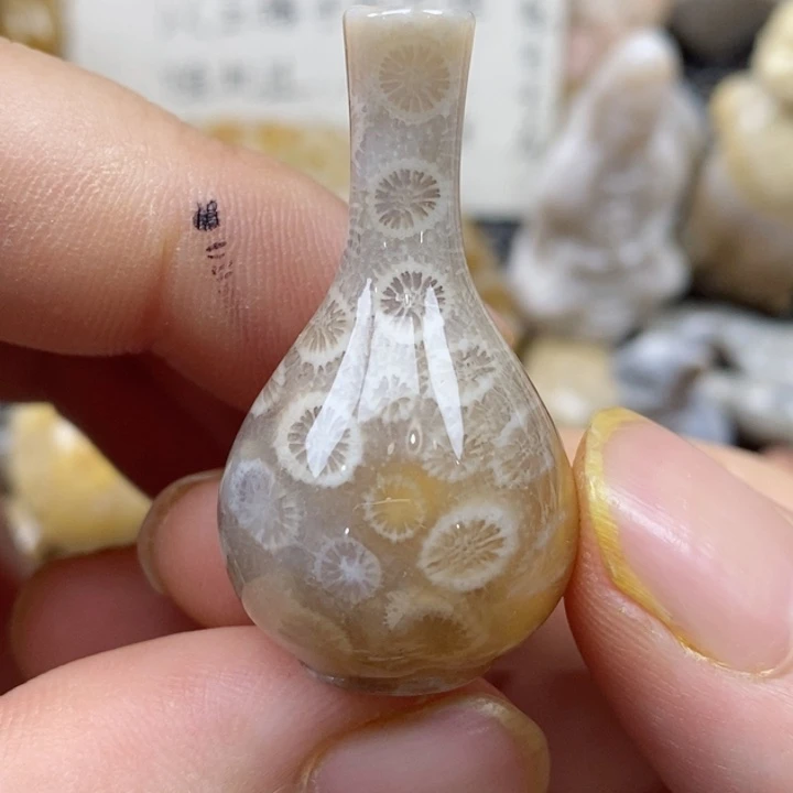 颈饰未镶嵌硅化珊瑚（珊瑚玉）