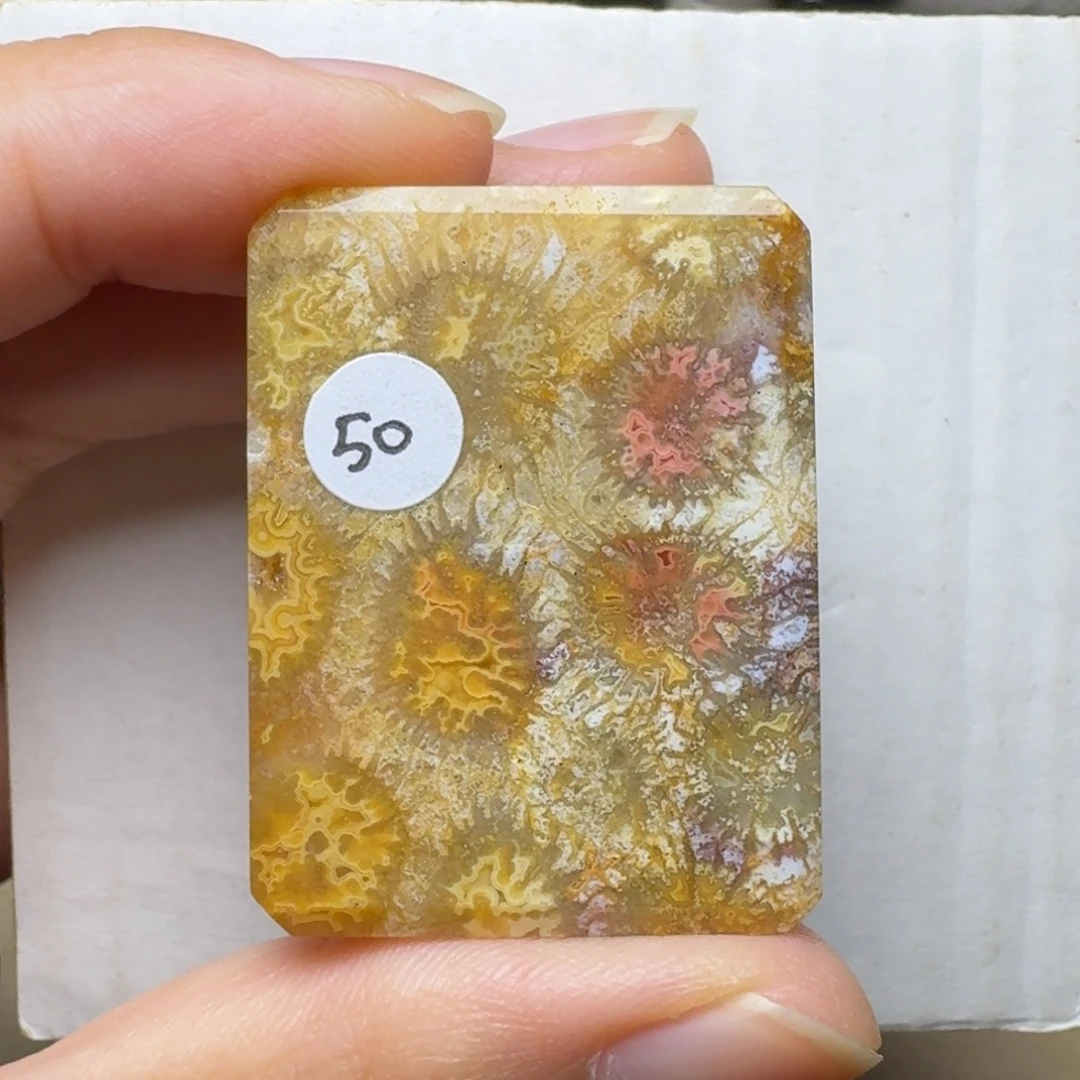 硅化玉未镶嵌彩共生，有骨骼