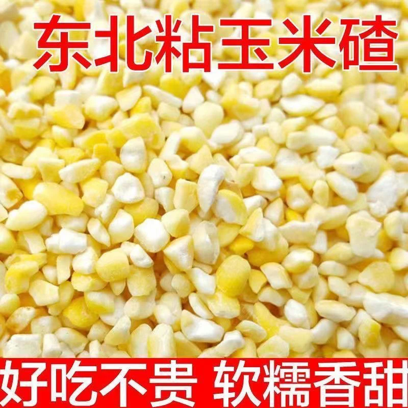 【到手五斤】东北粘大碴子黄粘玉米碴子新米正宗玉米去皮