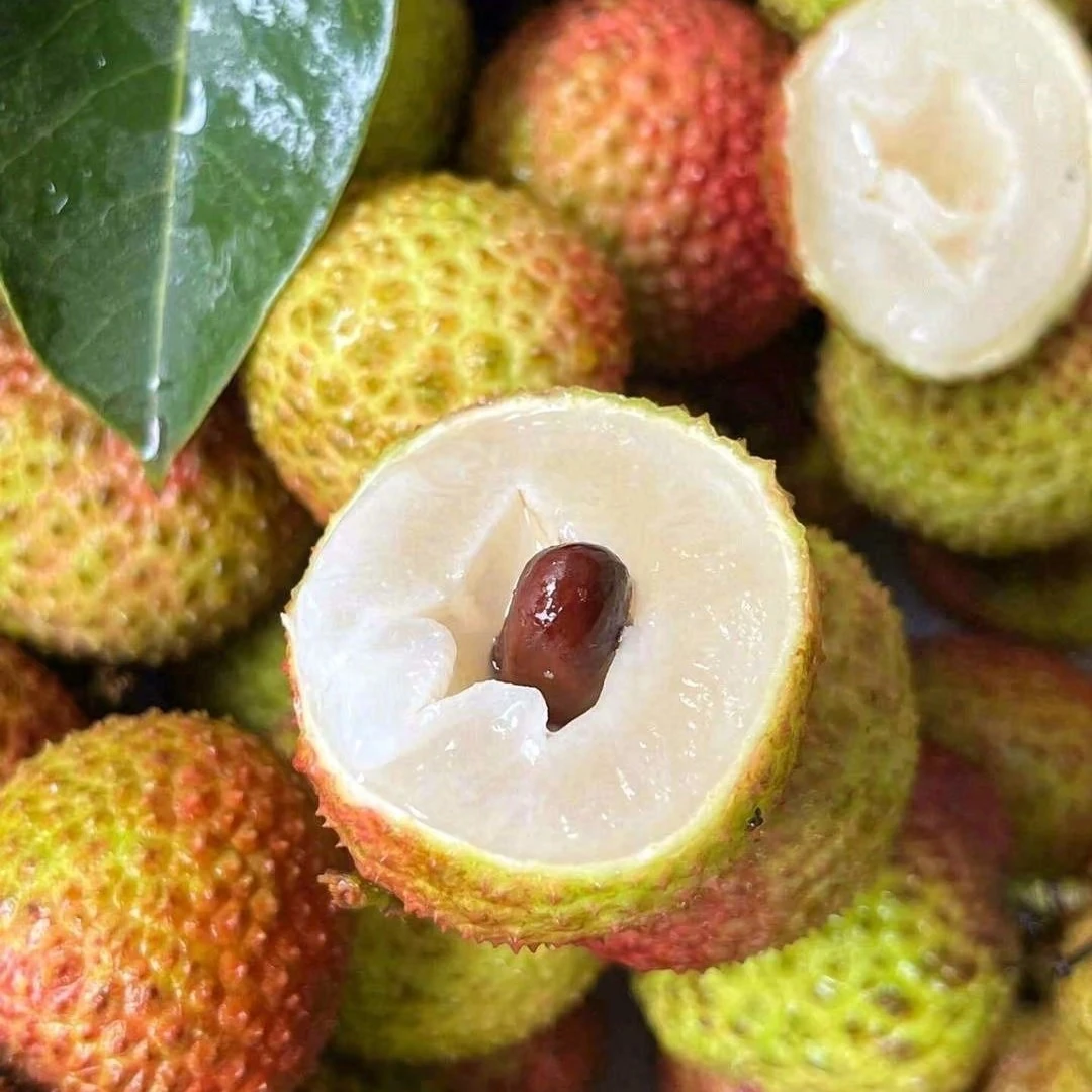 妃子笑荔枝500克广东省