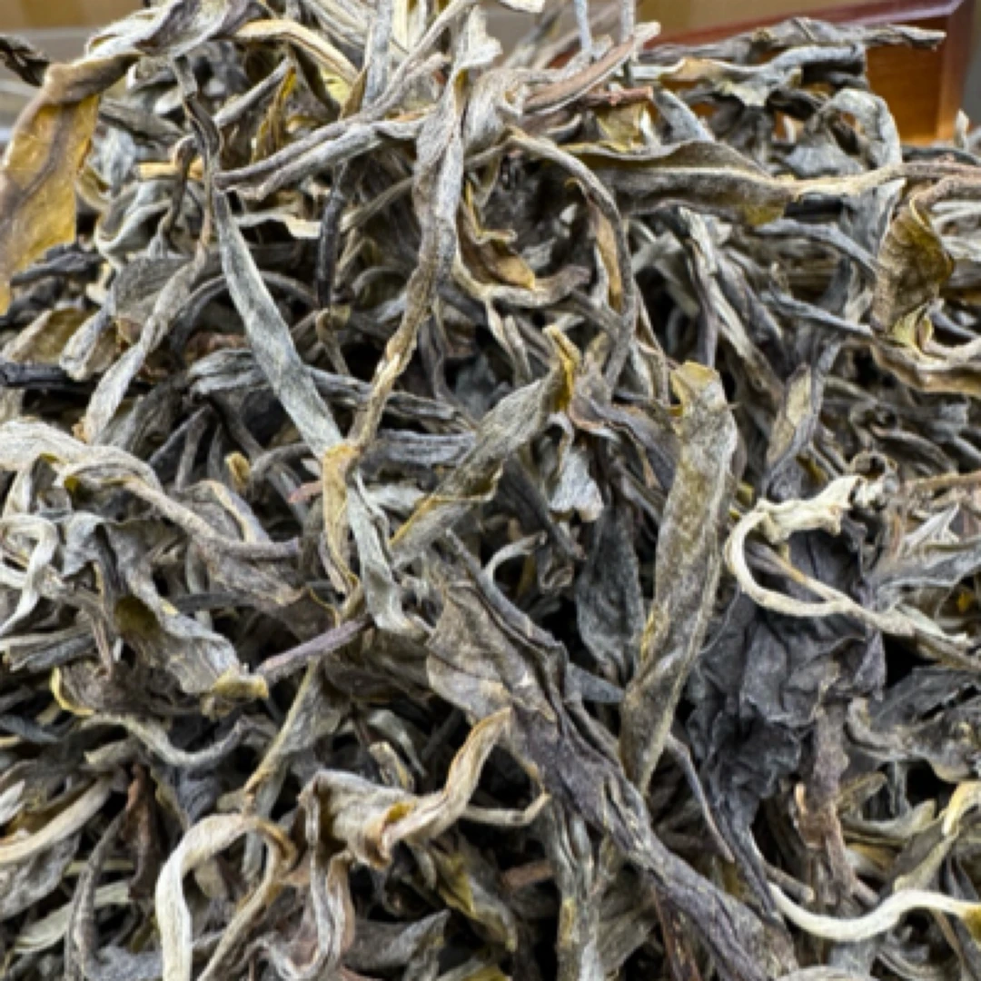 2024年  小户赛古树条采 250g/份（普洱生茶）