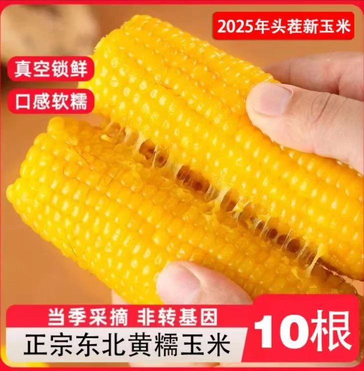 2025年东北新鲜香甜黄糯玉米独立真空包装10根整箱5斤以上