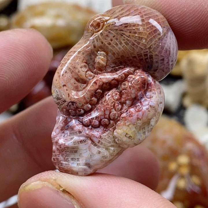 颈饰未镶嵌硅化珊瑚（珊瑚玉）