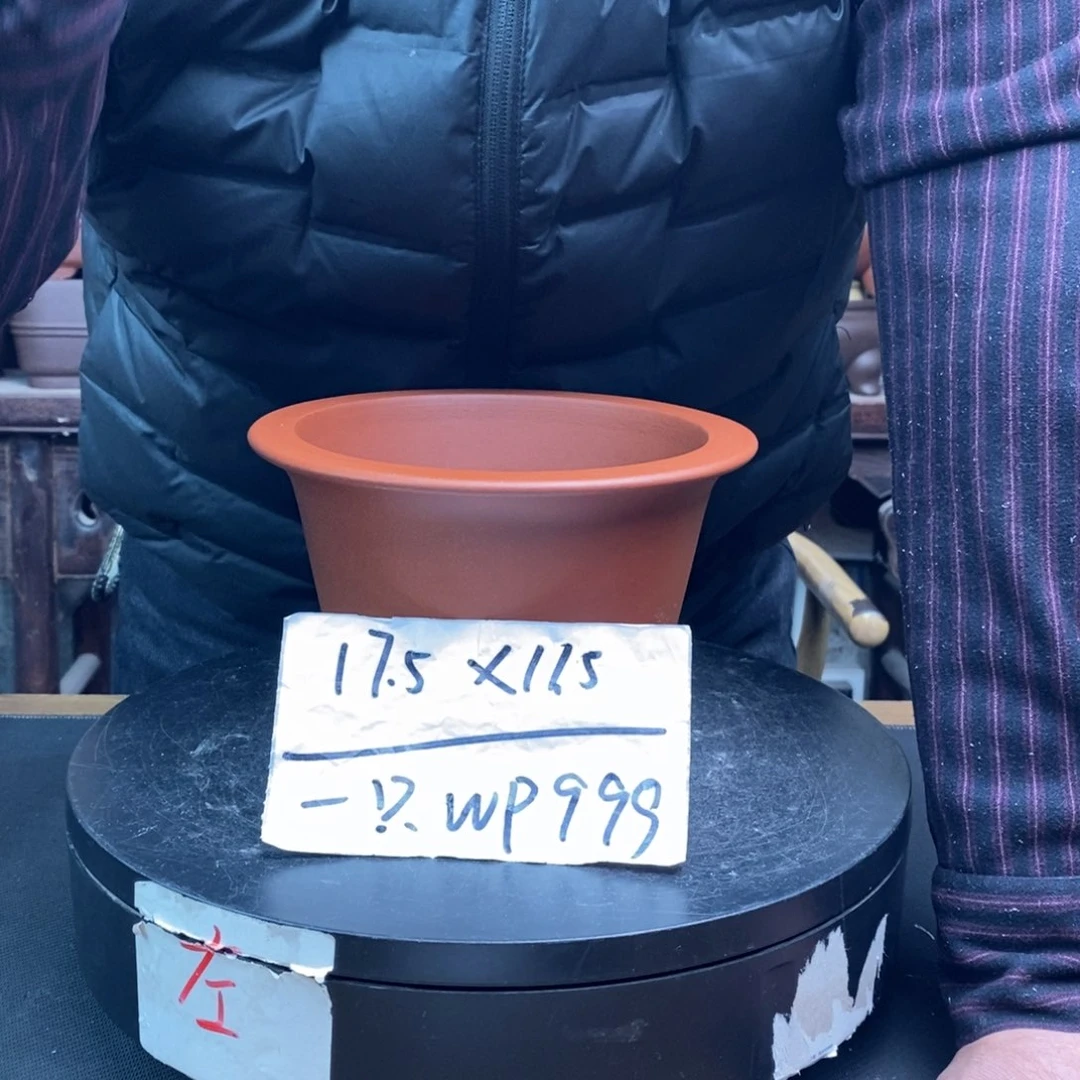 紫砂货号一只WP999