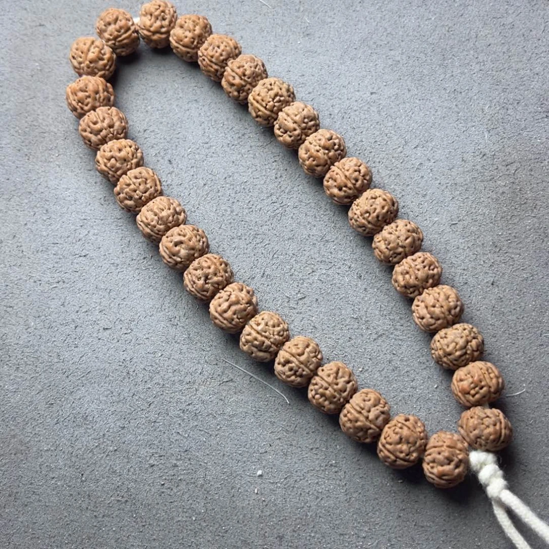 菩提16号金刚菩提纯血老树王1.1mm