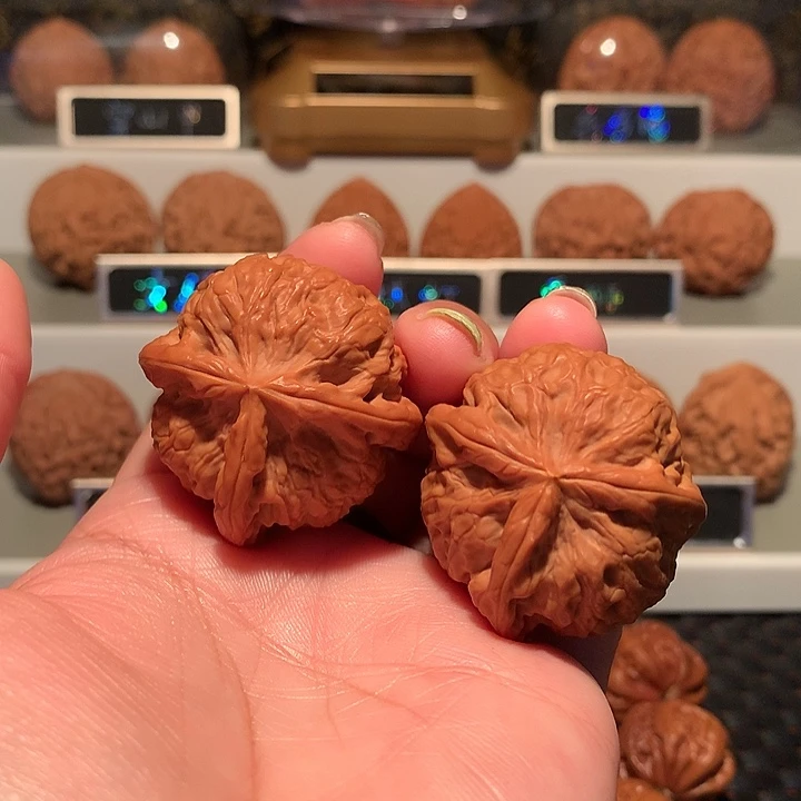 文玩核桃把件雪狮