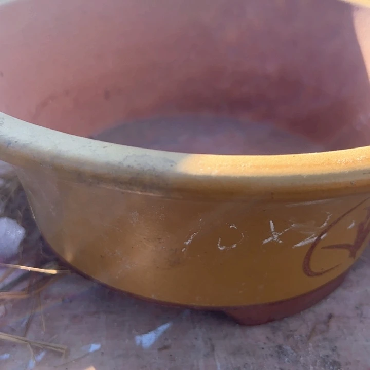 红陶紫砂碗盆瑕疵口20