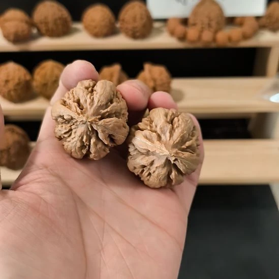 吊坠文玩核桃38霸王龙