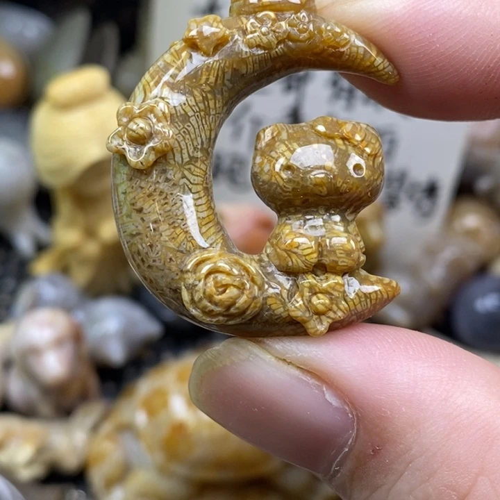 硅化珊瑚（珊瑚玉）未镶嵌颈饰