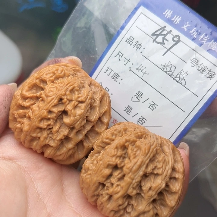 文玩核桃吊坠核桃树459