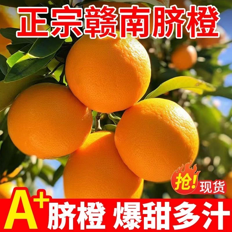 【京东包邮】小覃助农 正宗赣南脐橙鲜嫩甜多汁赣南脐橙皮薄肉厚L