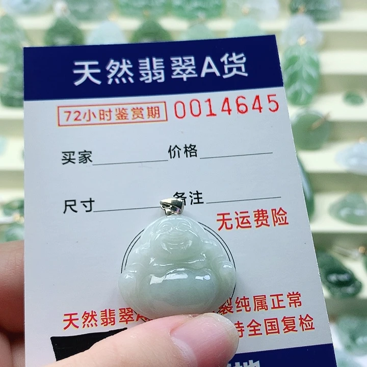 颈饰未镶嵌翡翠吊