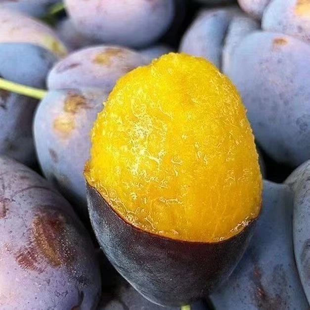【顺丰包邮】蓝蜜西梅彩箱新鲜饱满多汁酸甜脆爽应季水果