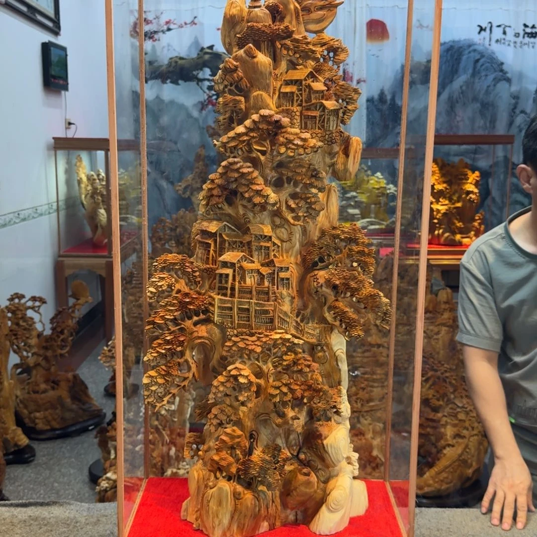 Y***H柏木（崖柏）崖柏111111111