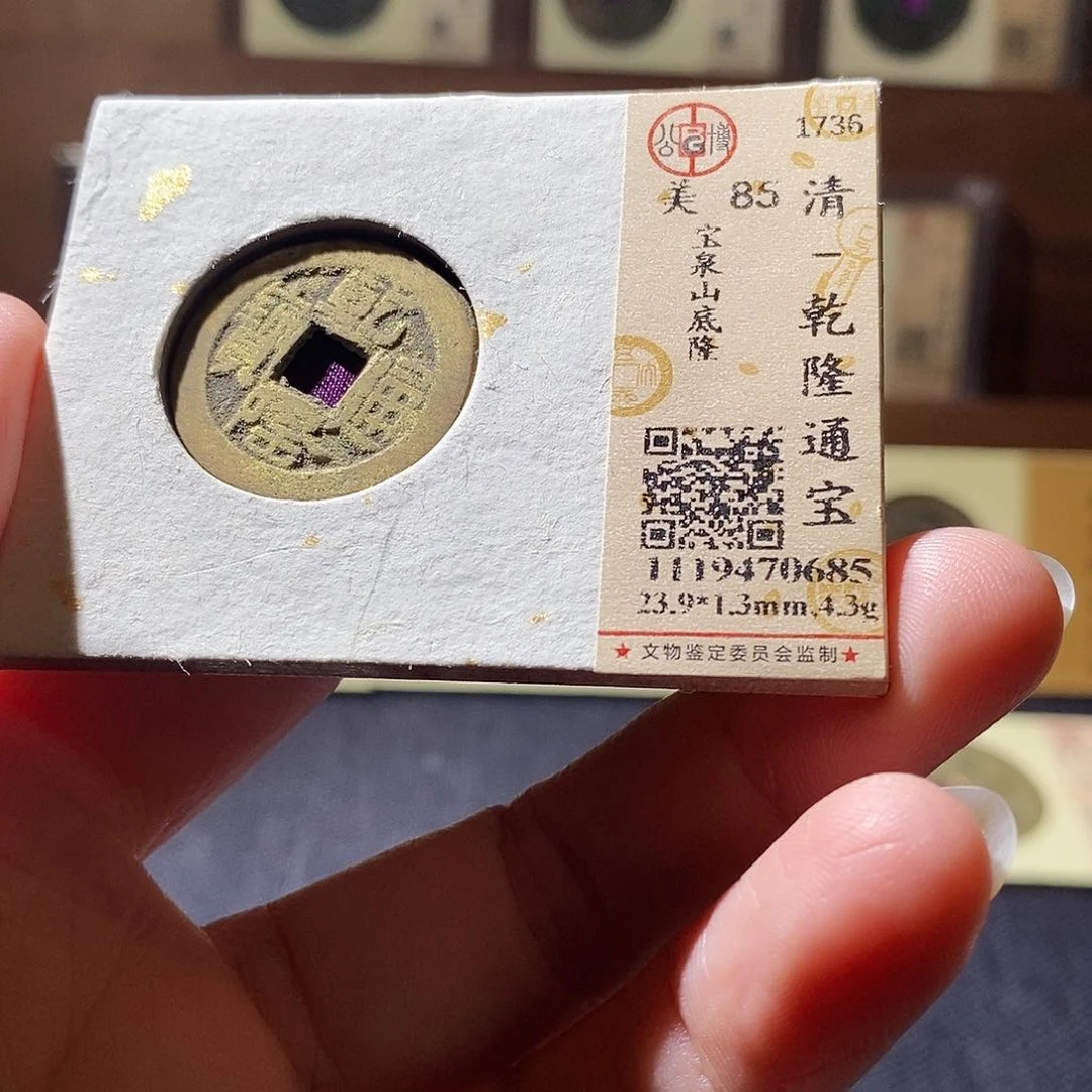 贝壳12 恭喜发财恭喜发财