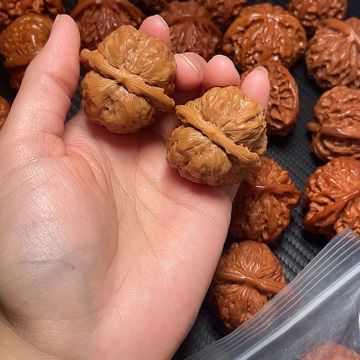 木质类37蛤麻。