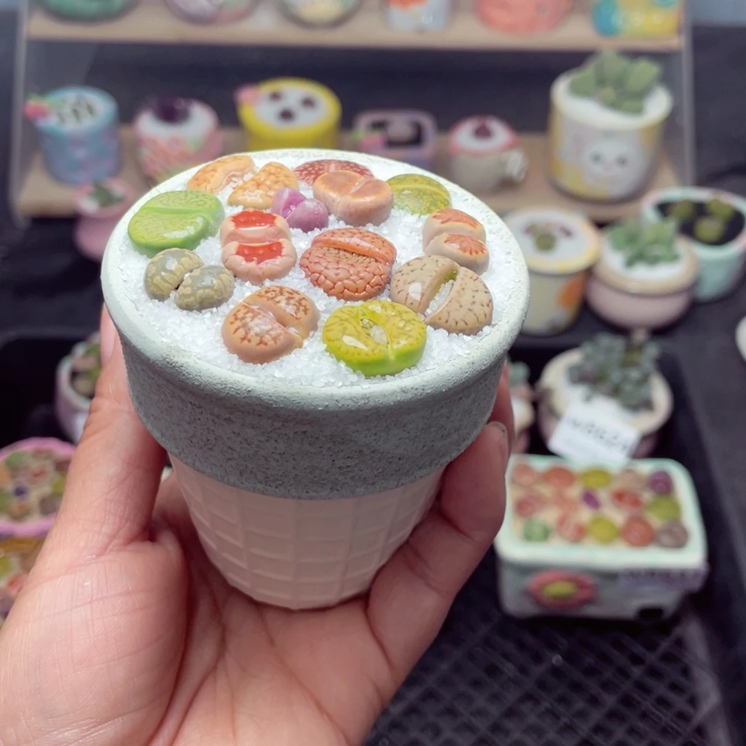 w8633 带盆土发货-零下地区拍保温箱