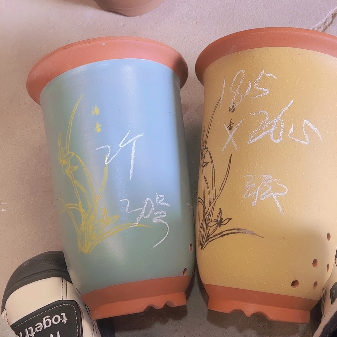 紫砂30………………………………