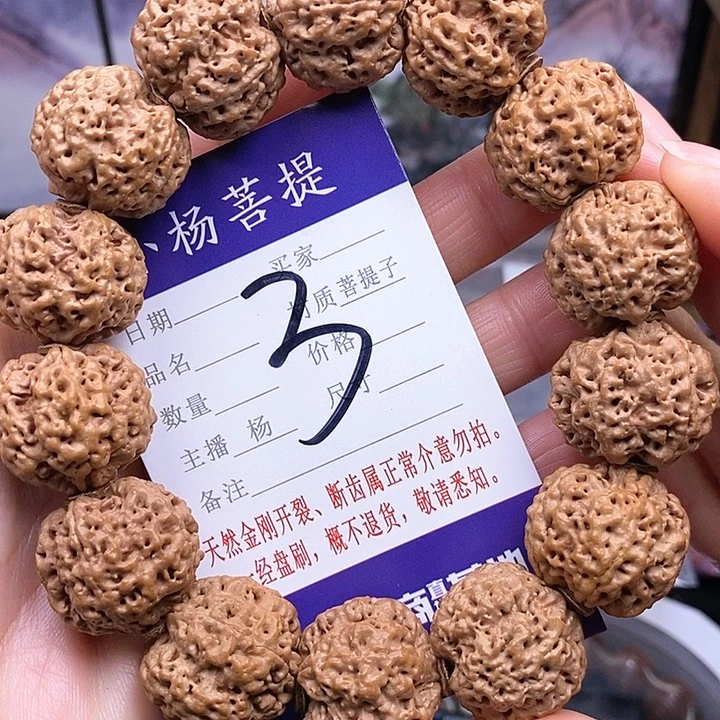 手串金刚菩提22.5/23双龙