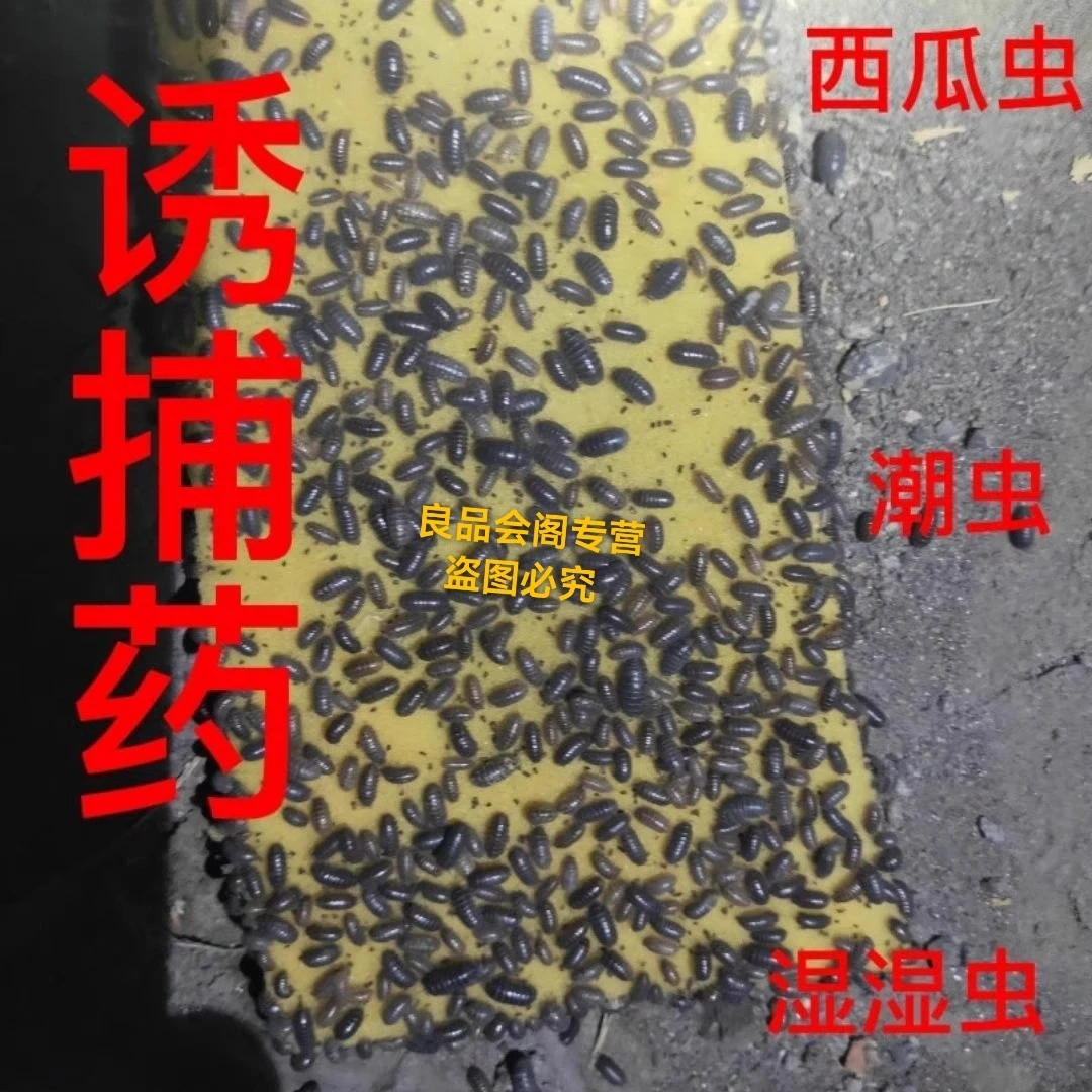 高强效西瓜虫诱饵鼠妇虫诱饵 饵料 诱捕粉 潮虫诱饵 回收成品