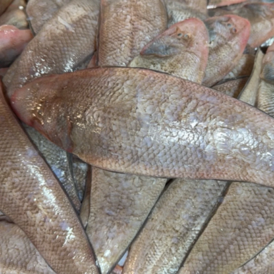 龙利鱼 1只(2两左右）