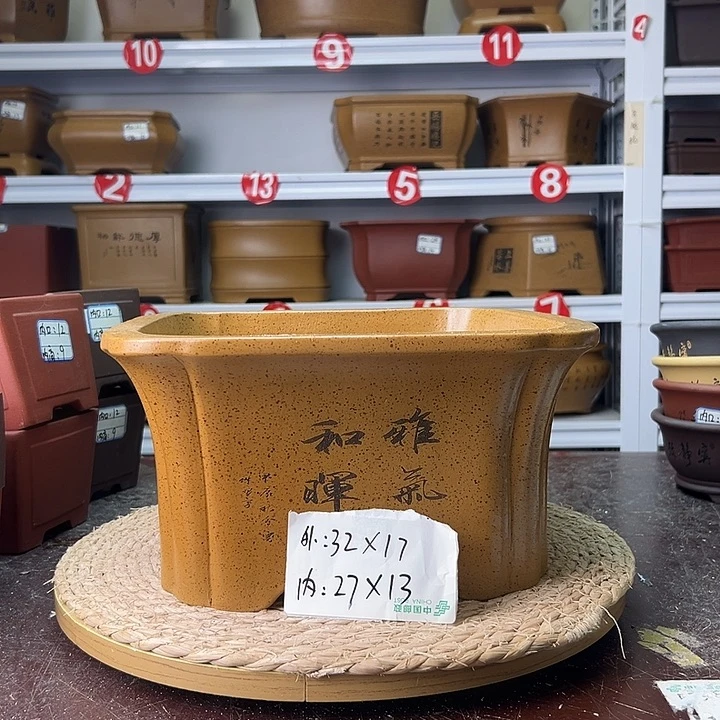 紫砂花盆蛇年大吉