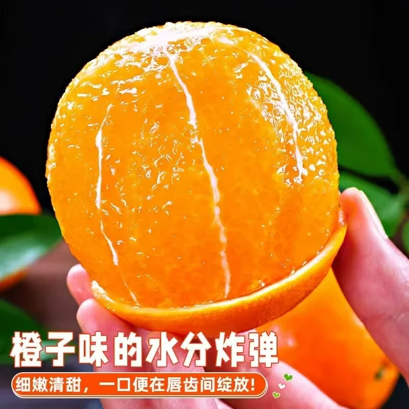 【现摘现发】正宗脐橙皮薄多汁当季新鲜采摘发货c